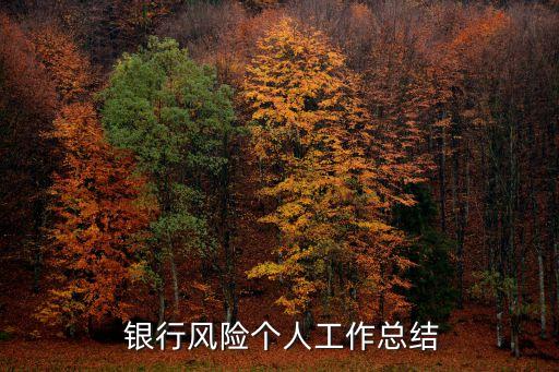  銀行風險個人工作總結(jié)