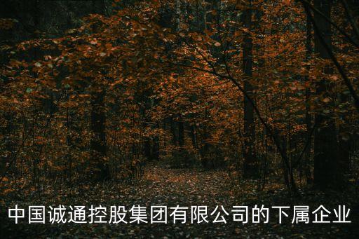 中國(guó)漿紙交易所,漿紙交易所做什么的