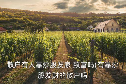 散戶(hù)有人靠炒股發(fā)家 致富嗎(有靠炒股發(fā)財(cái)?shù)纳?hù)嗎