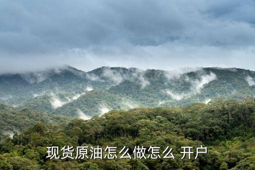 石油開戶投資操作流程,企業(yè)網上銀行開戶操作流程