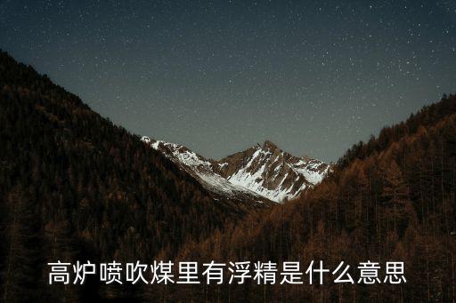 陽(yáng)煤集團(tuán)二礦洗煤廠