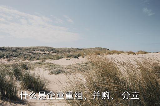 什么是企業(yè)重組、并購、 分立