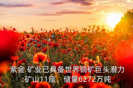  紫金 礦業(yè)已具備世界銅礦巨頭潛力:礦山11座、儲(chǔ)量6272萬(wàn)噸