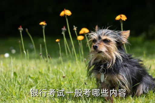 銀行行測(cè),中國銀行行測(cè)