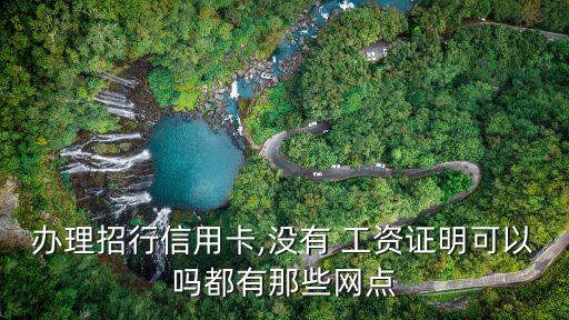 辦理招行信用卡,沒(méi)有 工資證明可以嗎都有那些網(wǎng)點(diǎn)