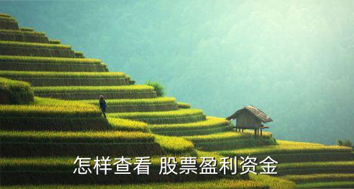 中信股票軟件盈虧,股票軟件顯示的盈虧是實際賺的金額嗎