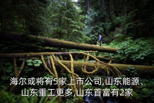 海爾或?qū)⒂?家上市公司,山東能源、山東重工更多,山東首富有2家