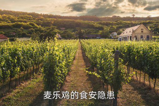 麥當勞肯德基上海福喜,上?；疖囌居宣湲攧诨蚩系禄鶈?/></a></span><span id=