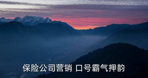 保險(xiǎn)公司營(yíng)銷(xiāo) 口號(hào)霸氣押韻