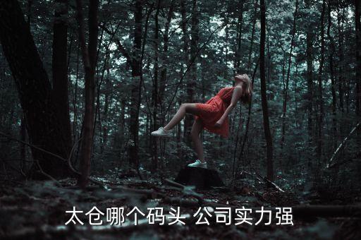 太倉哪個碼頭 公司實(shí)力強(qiáng)
