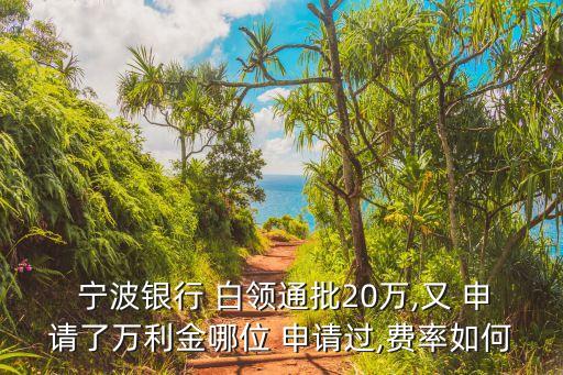  寧波銀行 白領通批20萬,又 申請了萬利金哪位 申請過,費率如何