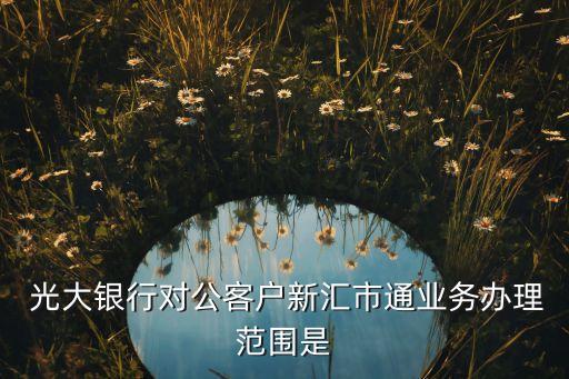  光大銀行對公客戶新匯市通業(yè)務(wù)辦理范圍是