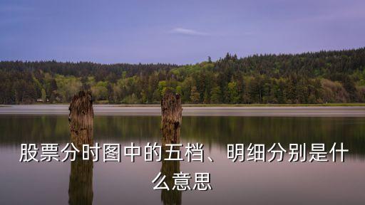  股票分時(shí)圖中的五檔、明細(xì)分別是什么意思