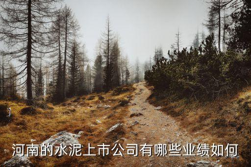 河南的水泥上市公司有哪些業(yè)績如何