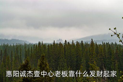 惠陽誠杰壹中心老板靠什么發(fā)財(cái)起家