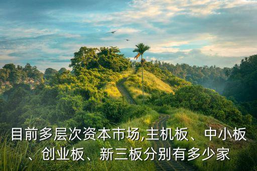 目前多層次資本市場(chǎng),主機(jī)板、中小板、創(chuàng)業(yè)板、新三板分別有多少家