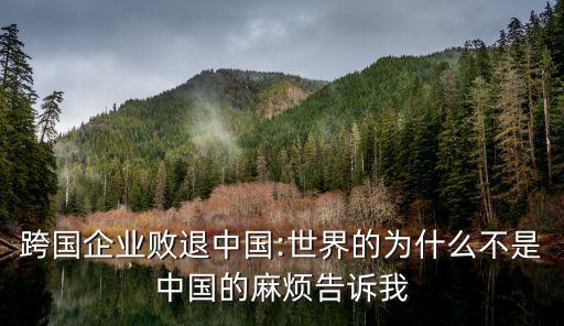 國(guó)際跨國(guó)公司有哪些稅務(wù)丑聞,跨國(guó)公司的國(guó)際營(yíng)銷(xiāo)組合策略有哪些?
