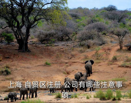 上海 自貿(mào)區(qū)注冊 公司有哪些注意事項(xiàng)