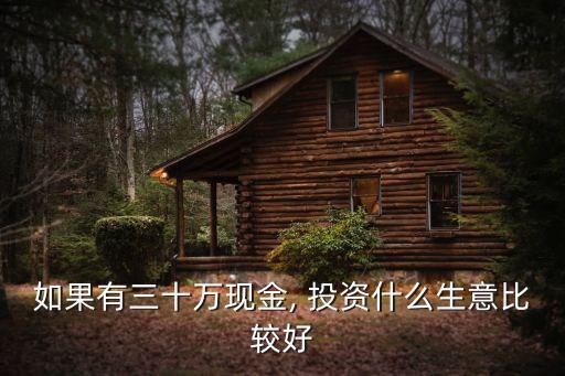 如果有三十萬現金, 投資什么生意比較好