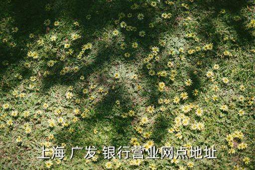 上海 廣發(fā) 銀行營業(yè)網(wǎng)點地址