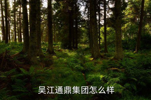  吳江通鼎集團怎么樣