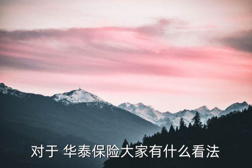 對于 華泰保險(xiǎn)大家有什么看法