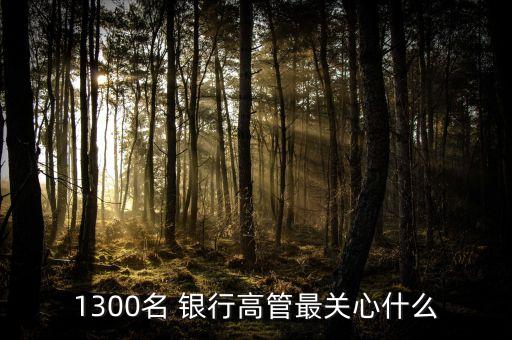 1300名 銀行高管最關心什么