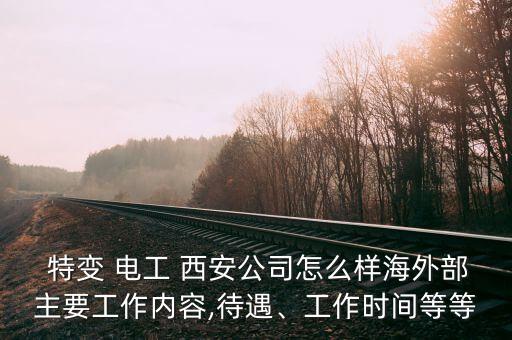 特變 電工 西安公司怎么樣海外部主要工作內(nèi)容,待遇、工作時(shí)間等等
