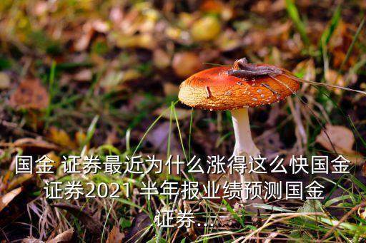 國金 證券最近為什么漲得這么快國金 證券2021 半年報(bào)業(yè)績預(yù)測(cè)國金 證券...