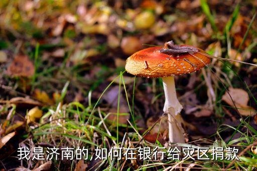 我是濟南的,如何在銀行給災(zāi)區(qū)捐款