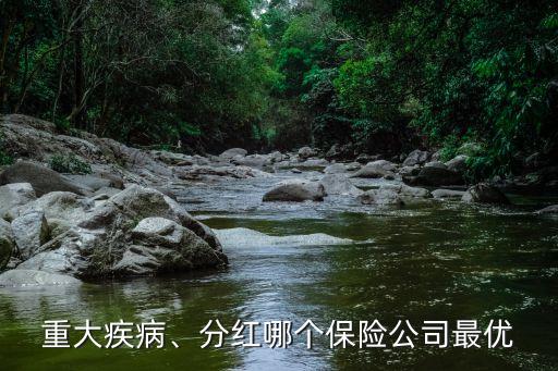 重大疾病、分紅哪個(gè)保險(xiǎn)公司最優(yōu)