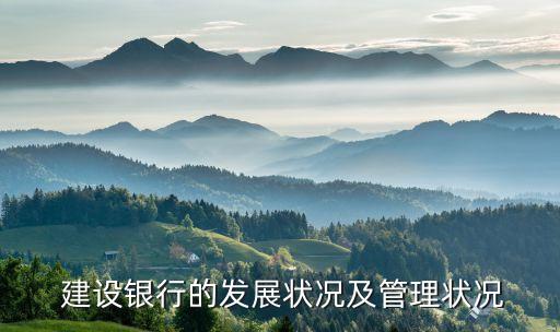  建設銀行的發(fā)展狀況及管理狀況