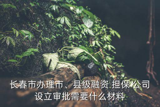 長春市辦理市、縣級融資 擔(dān)保 公司設(shè)立審批需要什么材料