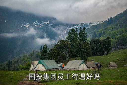  國(guó)投集團(tuán)員工待遇好嗎