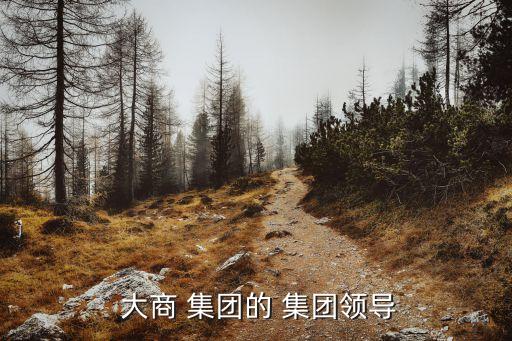  大商 集團的 集團領導