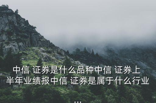 中信 證券是什么品種中信 證券上 半年業(yè)績報(bào)中信 證券是屬于什么行業(yè)...