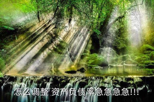 怎么調整 資產負債率急急急急!!!