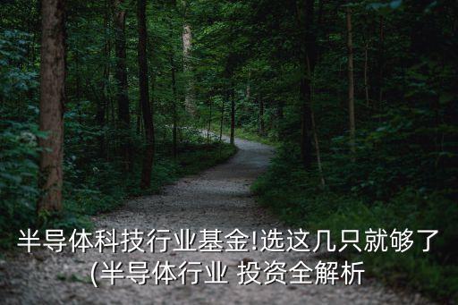 高科技股投資價值分析信息產業(yè)集
