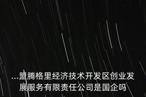 ...盟騰格里經(jīng)濟(jì)技術(shù)開發(fā)區(qū)創(chuàng)業(yè)發(fā)展服務(wù)有限責(zé)任公司是國企嗎