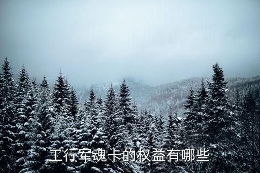 工行軍魂卡的權益有哪些