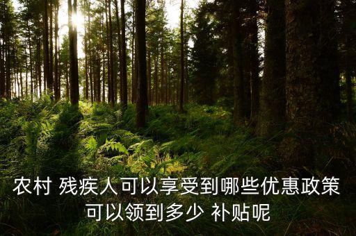 農(nóng)村 殘疾人可以享受到哪些優(yōu)惠政策可以領(lǐng)到多少 補貼呢