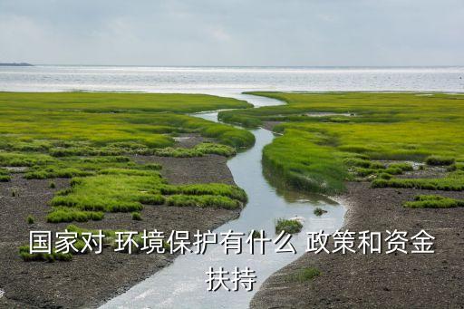 中國環(huán)境經(jīng)濟(jì)政策,環(huán)境經(jīng)濟(jì)政策的基本功能