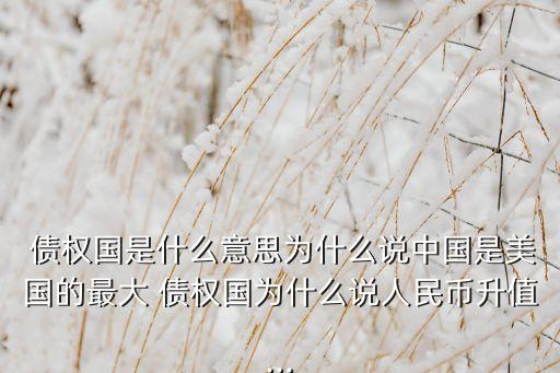  債權國是什么意思為什么說中國是美國的最大 債權國為什么說人民幣升值...