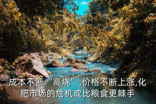 成本不斷“高燒”,價格不斷上漲,化肥市場的危機(jī)或比糧食更棘手