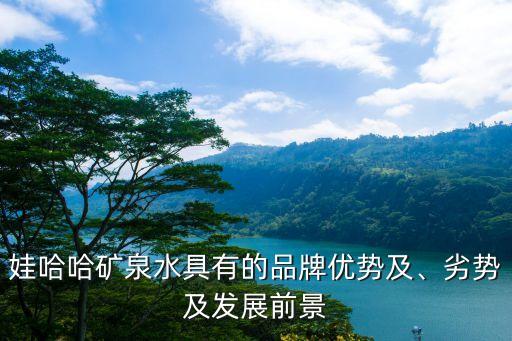 娃哈哈礦泉水具有的品牌優(yōu)勢及、劣勢及發(fā)展前景