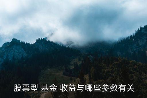  股票型 基金 收益與哪些參數(shù)有關