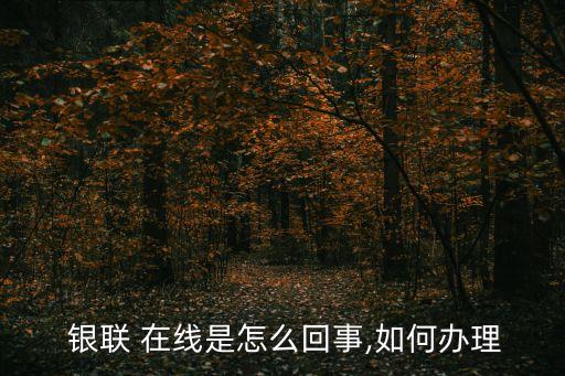  銀聯 在線是怎么回事,如何辦理