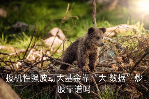 博時中證淘金大數(shù)據(jù)100指數(shù)基金