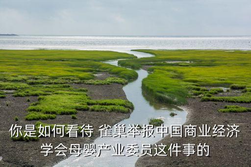 雀巢公司中國區(qū)負(fù)責(zé)人,中國雀巢公司在哪里
