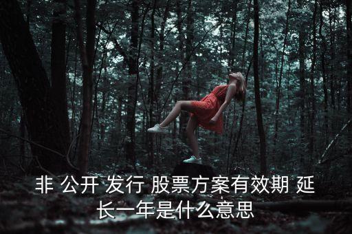 非 公開 發(fā)行 股票方案有效期 延長(zhǎng)一年是什么意思